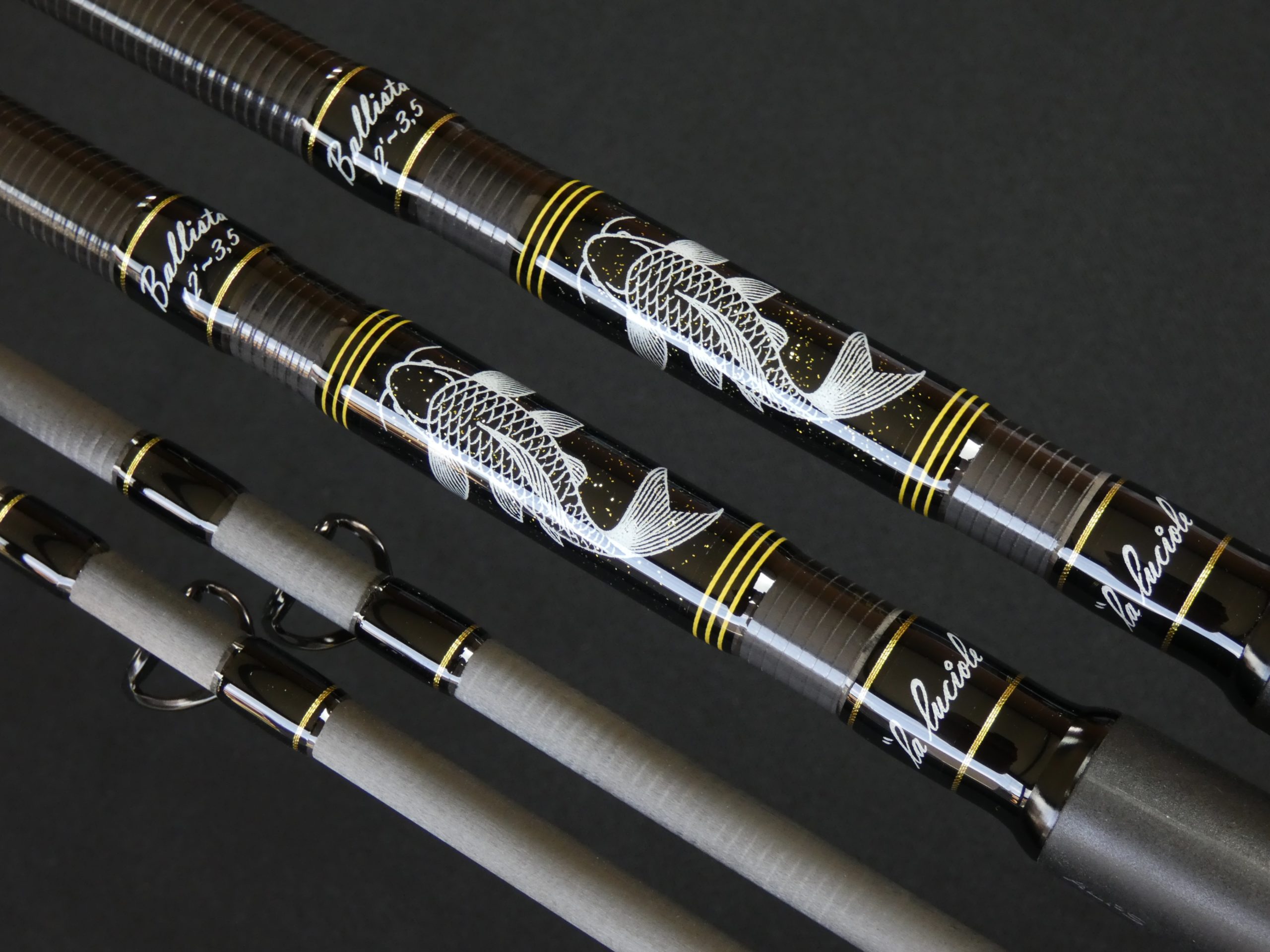 Harrison Ballista 12' 3.5lbs canne carpe distance / plaisir